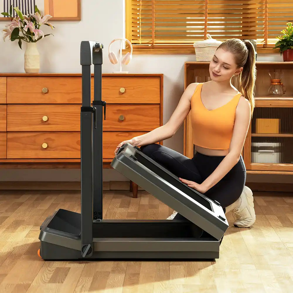 King Smith Foldable Treadmill Z3 Hybrid - 1 HP King Smith Foldable Treadmill Z3 Hybrid - 1 HP